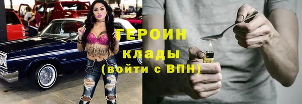 гидра Каменка