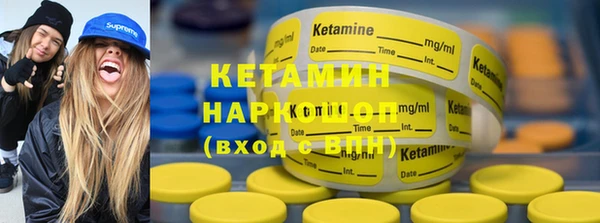 гидра Каменка