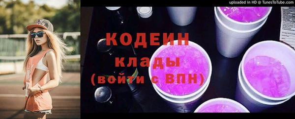 сатива Инта