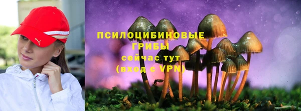 гидра Каменка