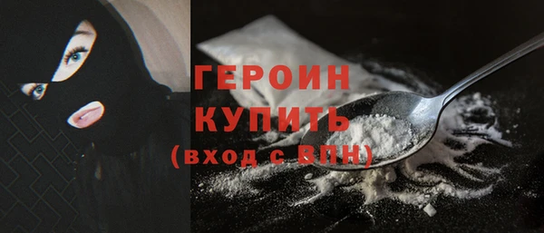 гидра Каменка