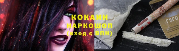 гидра Каменка