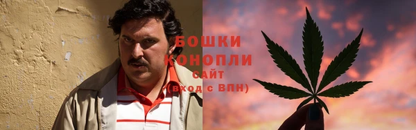 первитин Инсар