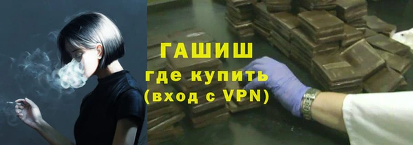 сатива Инта