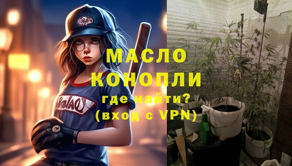 сатива Инта
