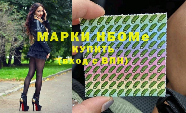 гидра Каменка