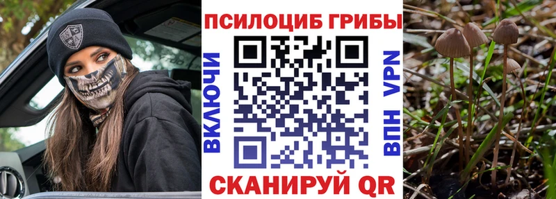 Галлюциногенные грибы GOLDEN TEACHER  Купить закладки  Каменка 